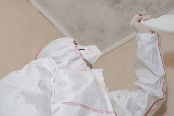 Clemson, SC Mold Removal Company
