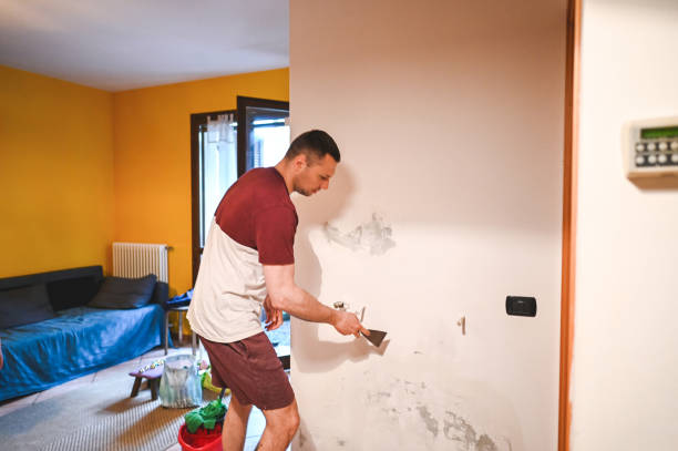 Mold Removal Process in Clemson, SC